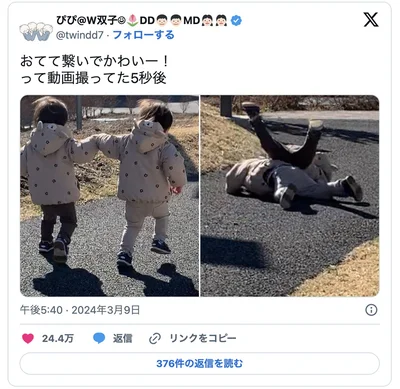 以前ご紹介した双子ちゃん▶賑やかなW双子ちゃんの生活（⇒次へ）