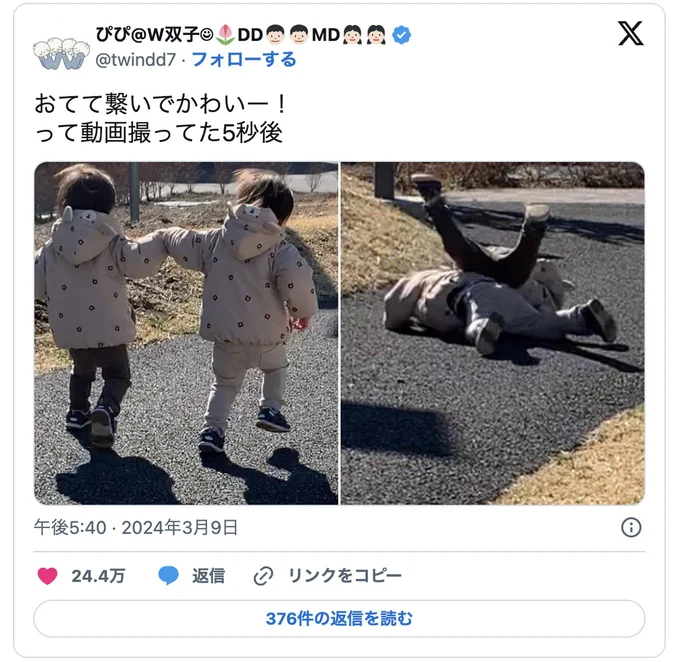 以前ご紹介した双子ちゃん▶賑やかなW双子ちゃんの生活（⇒次へ）