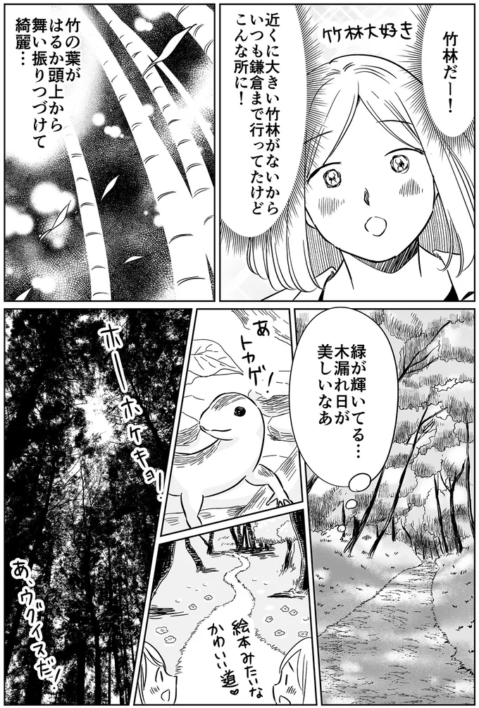 竹林だー！