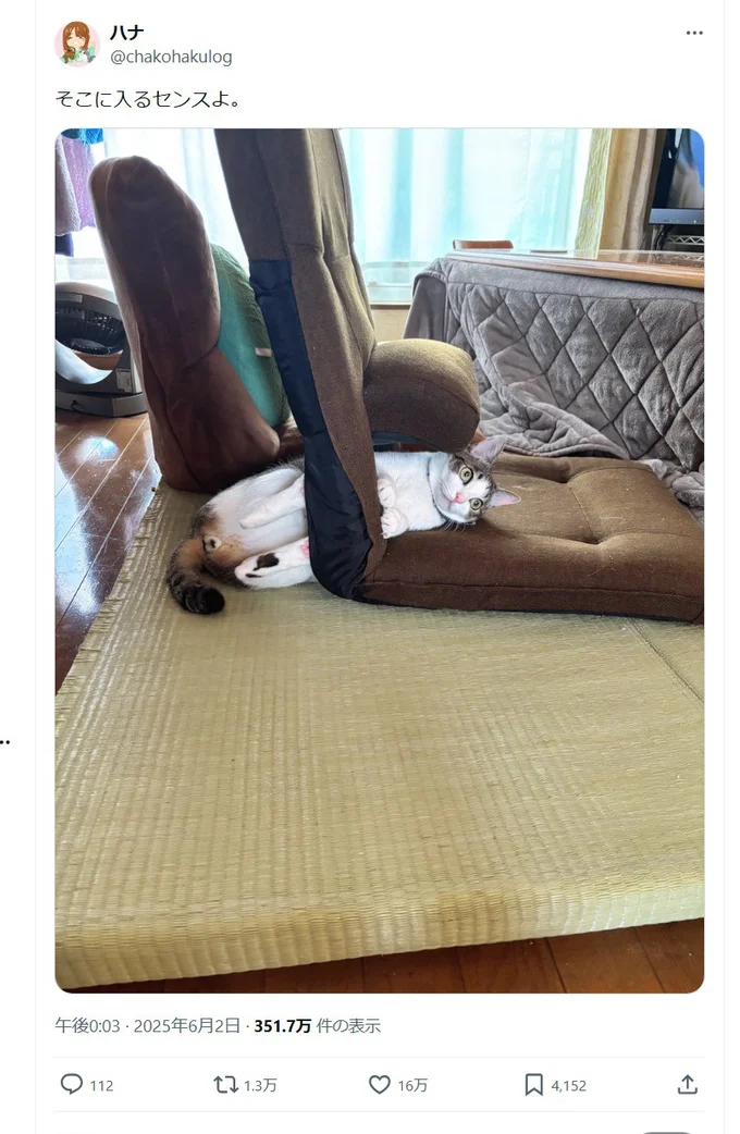「そこに入るセンスよ」と投稿された一枚。座椅子が絶妙にフィットしていますね(笑)▶表情も……(⇒次へ)