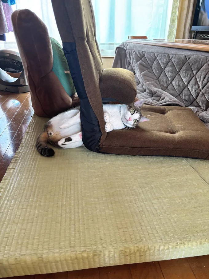 虚無なような、満足しているような……。シュールさに笑ってしまいます！▶抜け出したあとも……（⇒次へ）