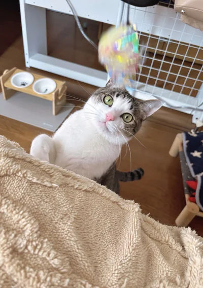 2年ぶりのお風呂を済ませて一層綺麗に！▶お次は話題になったあのシーン！（⇒次へ）