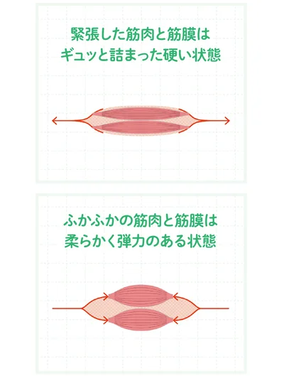 筋膜は伸ばすより縮めることでゆるむ
