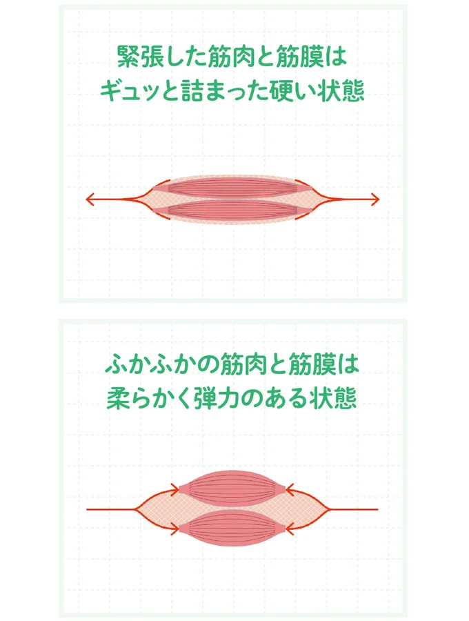 筋膜は伸ばすより縮めることでゆるむ