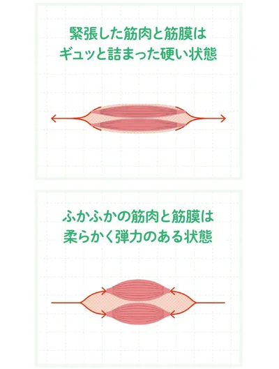 筋膜は伸ばすより縮めることでゆるむ