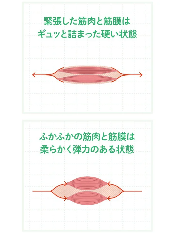 筋膜は伸ばすより縮めることでゆるむ