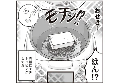 赤飯にモチ