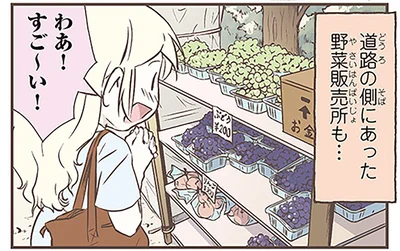 外国にもある？日本の無人販売に驚いたスウェーデン人漫画家／北欧女子オーサのニッポン再発見ローカル旅（1）