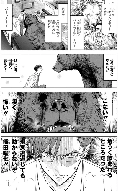 『くまぐらし（01）』より