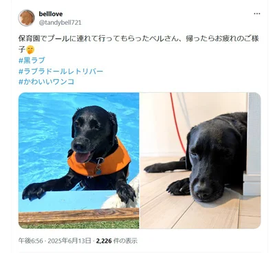 保育園でプールへ連れていってもらった際は気持ちよさそうにしていました！ ▶この表情…（⇒次へ）