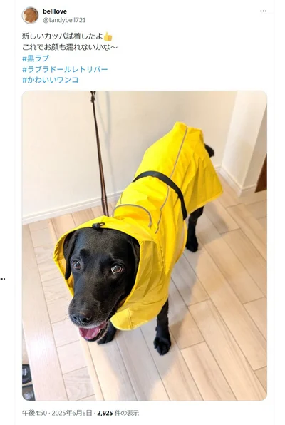 黄色がとっても似合っています！ ▶このときは…（⇒次へ）