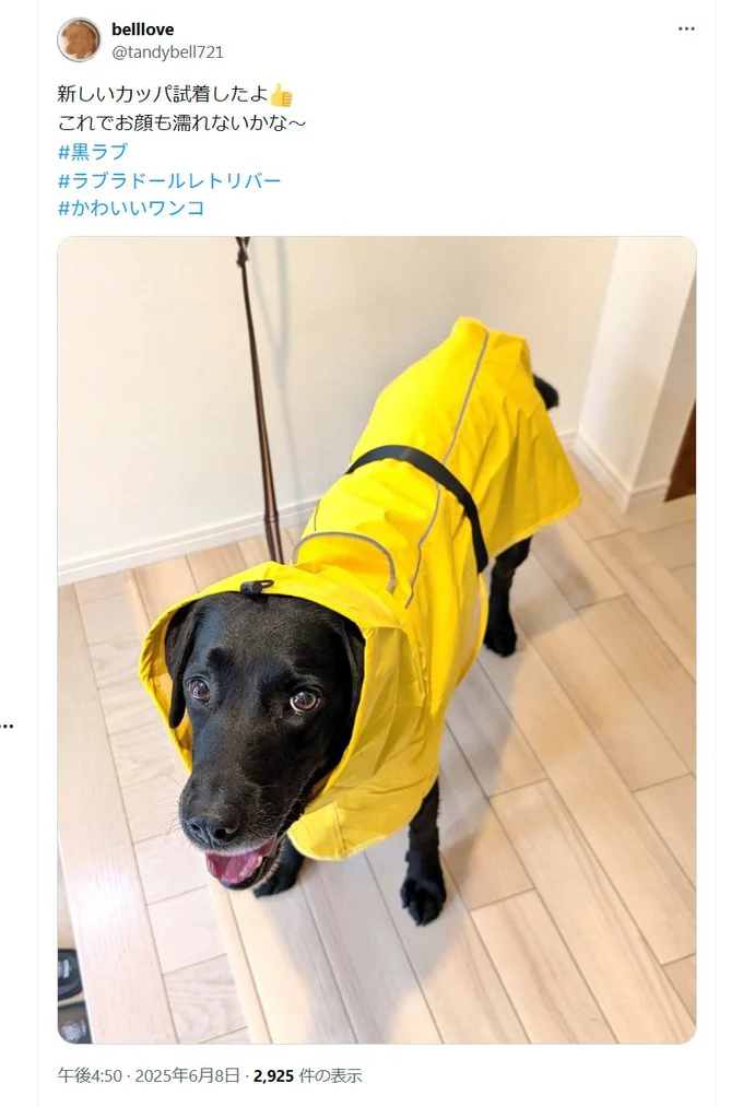 黄色がとっても似合っています！ ▶このときは…（⇒次へ）