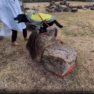  1位になってガウンをもらうこと！▶こちら元投稿では動画で、（⇒次へ）
