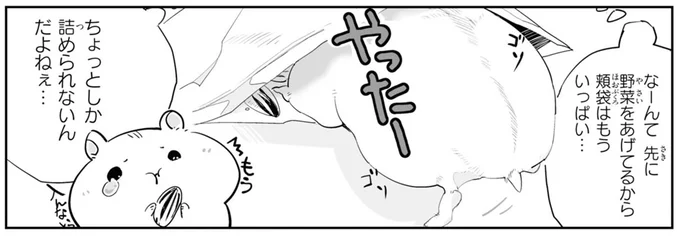 頬袋はもういっぱい…