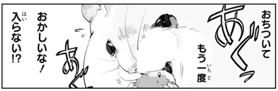 入らない！？
