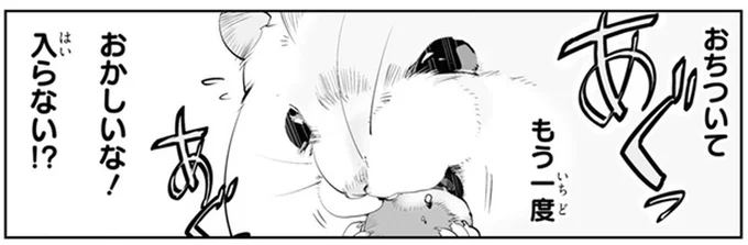 入らない!?