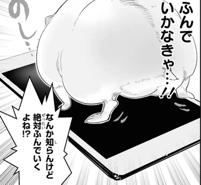絶対ふんでいくよね！？