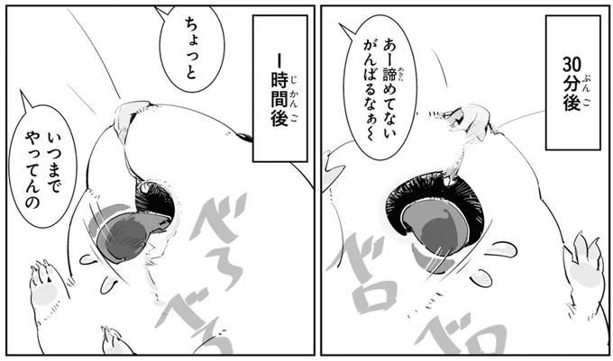 がんばるなぁ〜