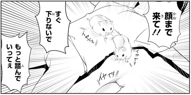 もっと踏んでいってぇ！ ハムスターのお散歩コースに飼い主が寝そべってみたら／はむはむづくし（12）