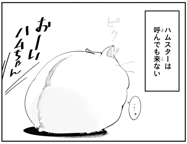 飼い主がいくら呼んでも来ないけど。ハムスターを確実に呼ぶ方法はこれだ！／はむはむづくし（13）