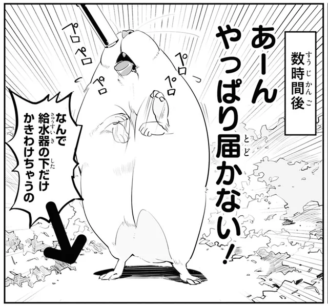 給水器に届かない！ ハムちゃんのために台を置くも、使い方が「思ってたんと違う」