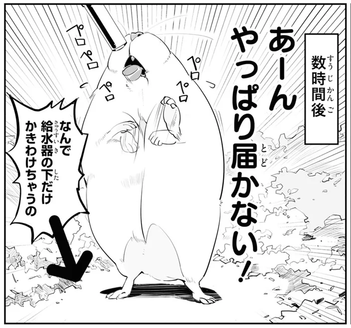給水器に届かない！ ハムちゃんのために台を置くも、使い方が「思ってたんと違う」
