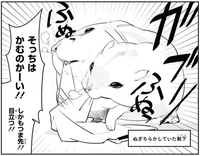 噛ませたかったのはそっちじゃない！ ハムスターがセーターを無視して飛びついたのは