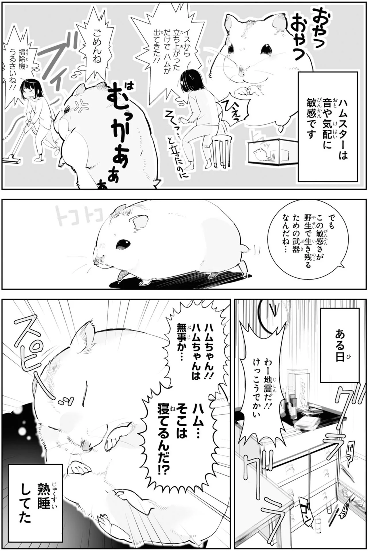 ぎゃあああ！今何食べたの!? 飼い主の服の上でハムちゃんがもぐもぐし
