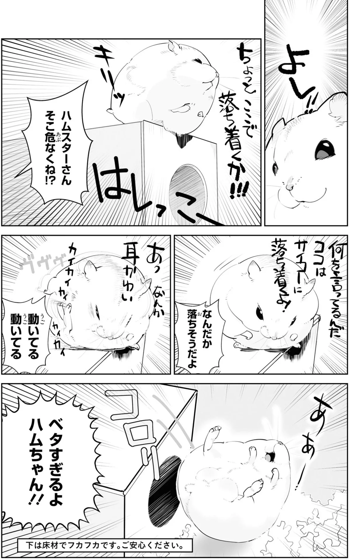わざわざ端っこで毛づくろいするハムちゃん。「落ちちゃう」とハラハラ