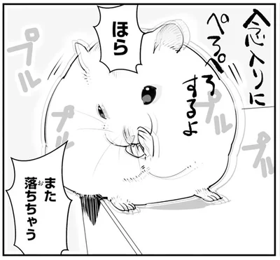 また落ちちゃう