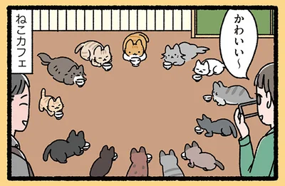 まるで円卓の騎士