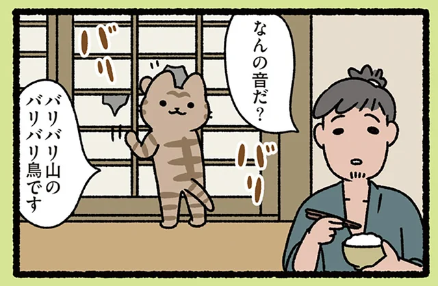 【カチカチ山とバリバリ山】ねこに誤魔化された！ いたずらを気にしない飼い主