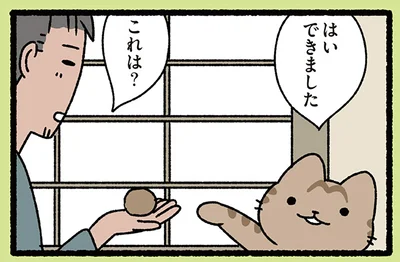 猫がくれたのは