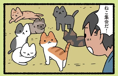 ねこ集会だ！