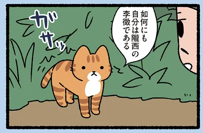 如何にも