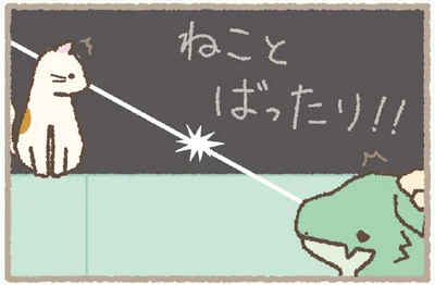ねことばったり！！