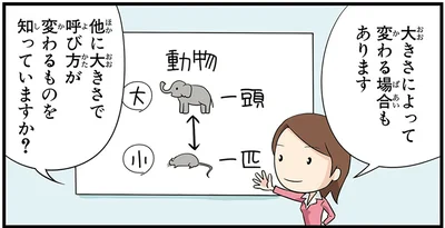 大きさによって助数詞が変わる場合もあります