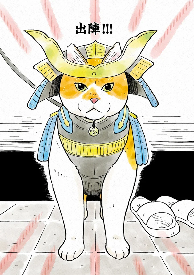 『元野良猫チャチャ　本日も見まわり中』より