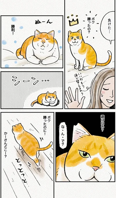 『元野良猫チャチャ　本日も見まわり中』より
