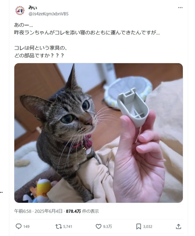 猫ちゃんが添い寝のおともを持ってきた!▶これは何の部品!?(⇒次へ)