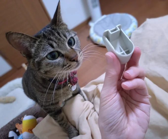 謎の小さな部品を見つめるランちゃん▶謎の部品の正体は…(⇒次へ)