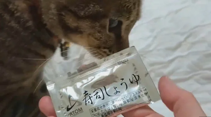 寿司しょうゆ！▶まだある！添い寝のおとも（⇒次へ）