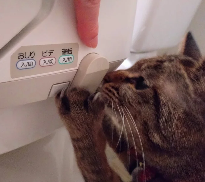 いたずらするのが得意なランちゃんならではの部品でした▶ほかにもあります！飼い主さん困惑の添い寝グッズ（⇒次へ）
