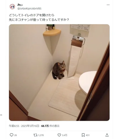 トイレに先に入っていることも▶おっとりチャコちゃん4歳のお誕生日ポストはこちら（⇒次へ）