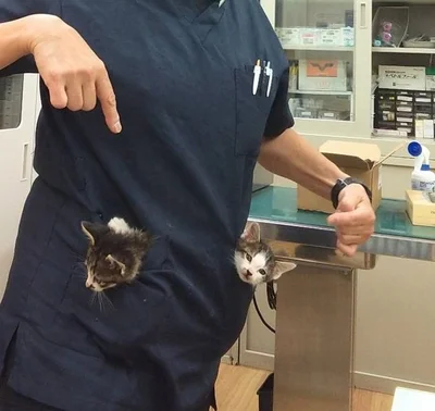 ちっちゃくてかわいい〜！▶大きくなりました！4歳のチャコちゃん（⇒次へ）