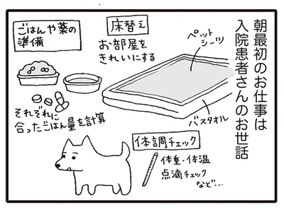 朝最初のお仕事は…