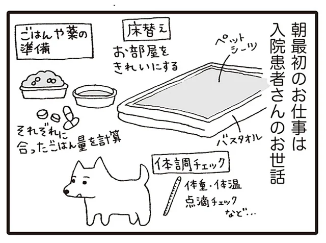 朝から全力投球!? 診察開始時には満身創痍なことも多い動物病院でのお仕事／いぬねこ動物病院日記（1）