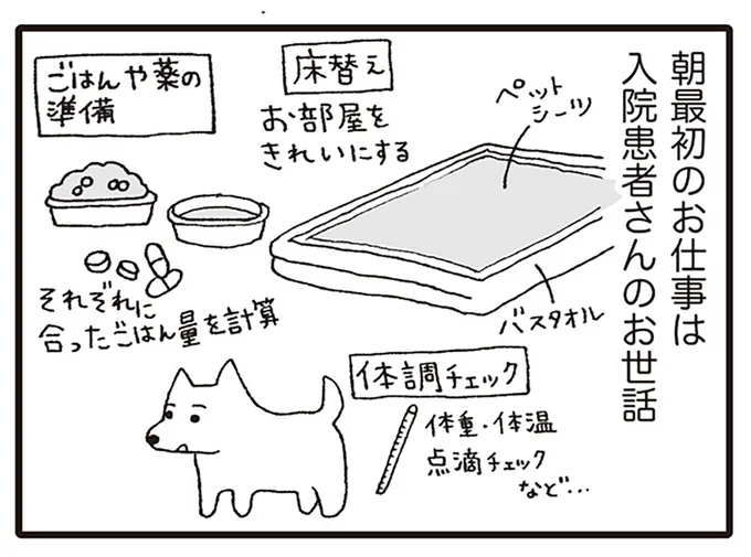 朝最初のお仕事は…
