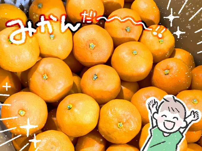 みかんだ~!!