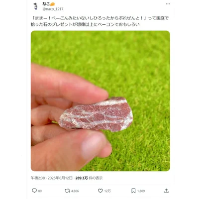 これは…まさにベーコン！▶︎息子くんからのプレゼントだったそう（⇒次へ）
